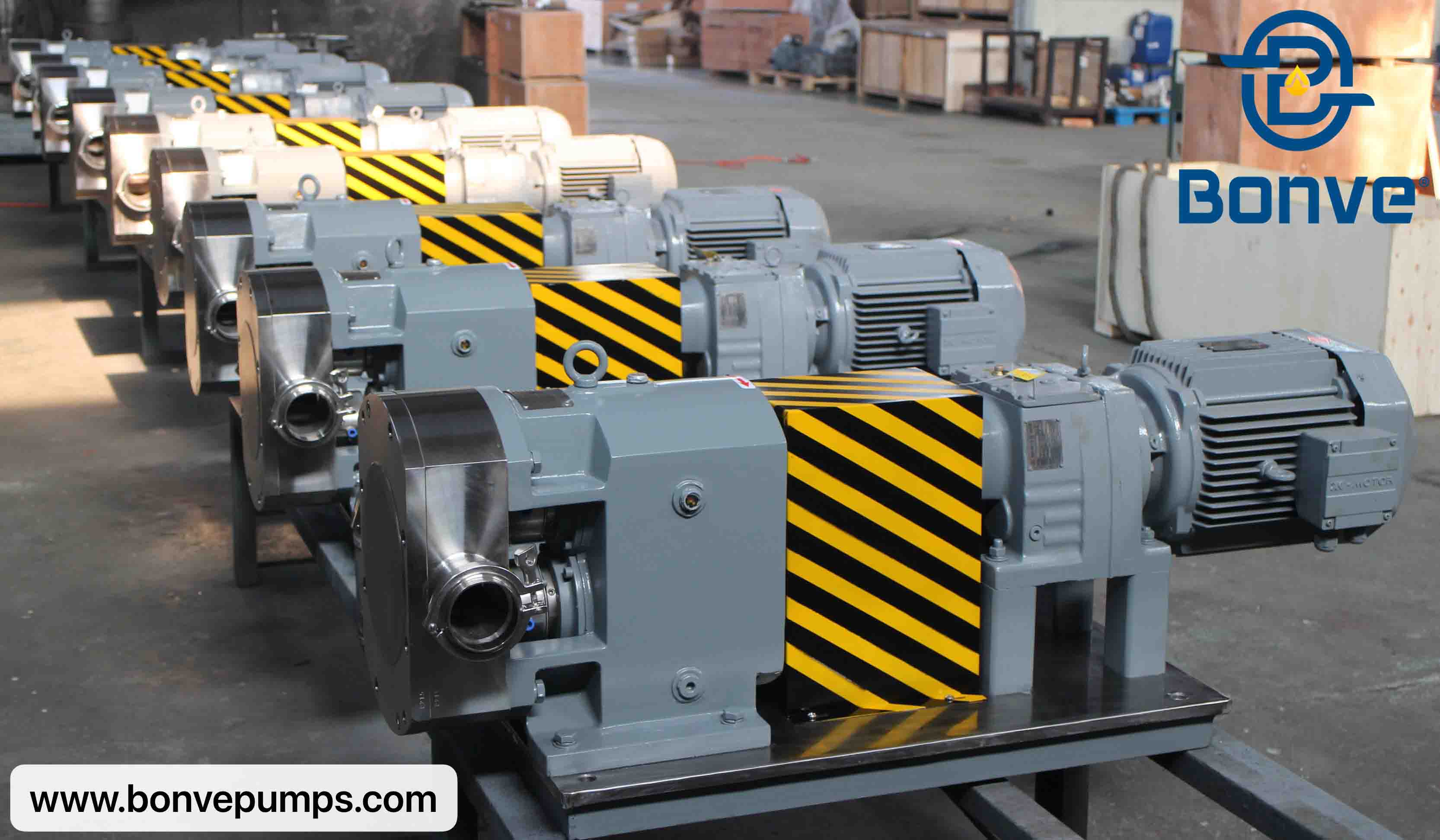 Stainless steel Rotary lobe pumps